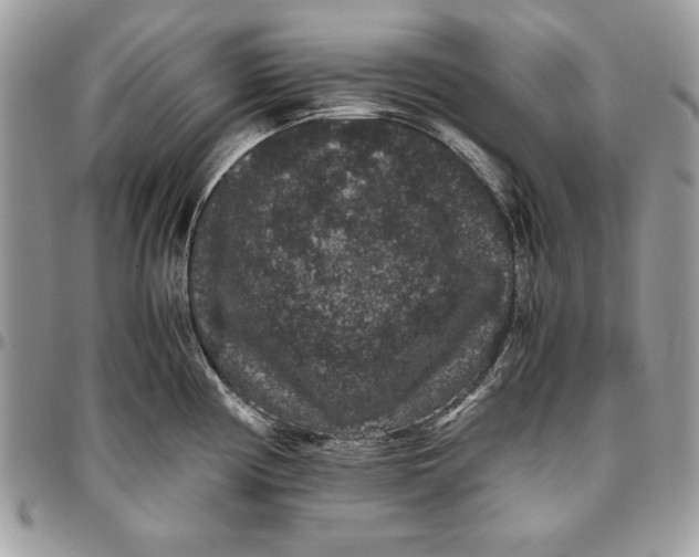 X0000094781194200712071157