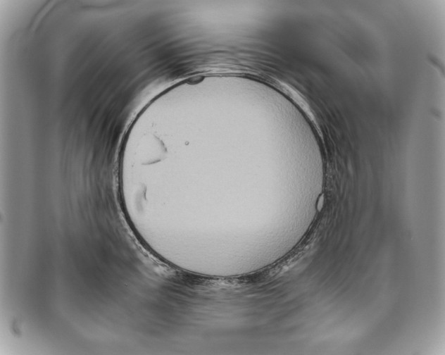 X0000094781195200712071157