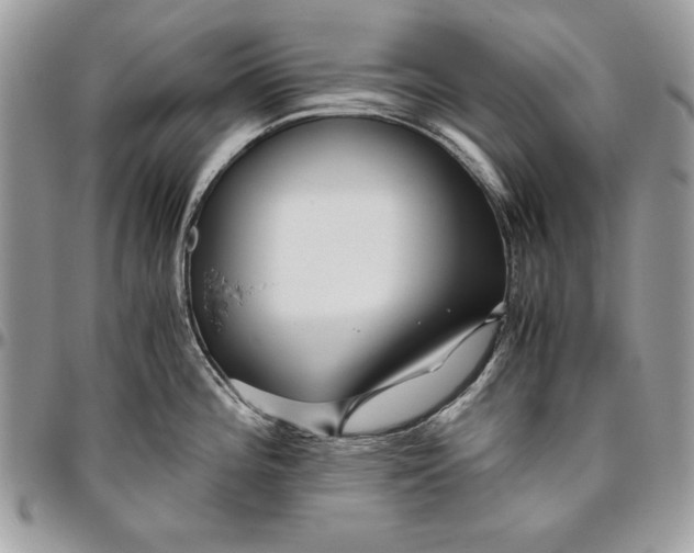 X0000094781196200712071157