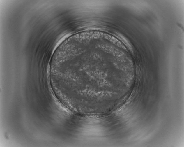 X0000094781198200712071157