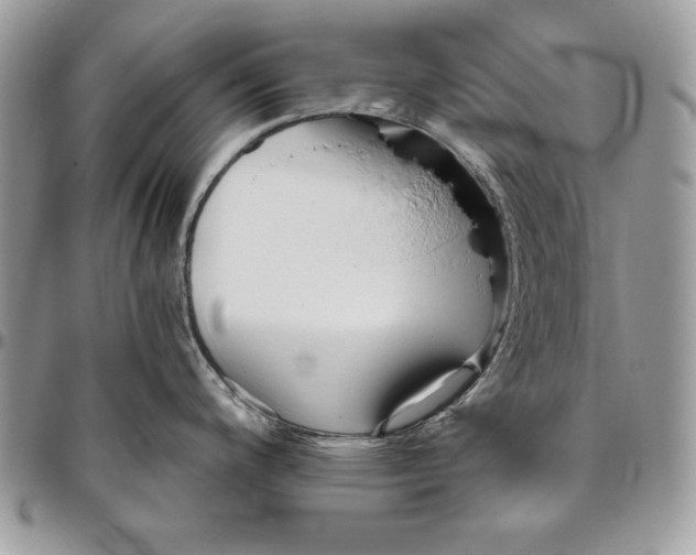 X0000094781200200712071157