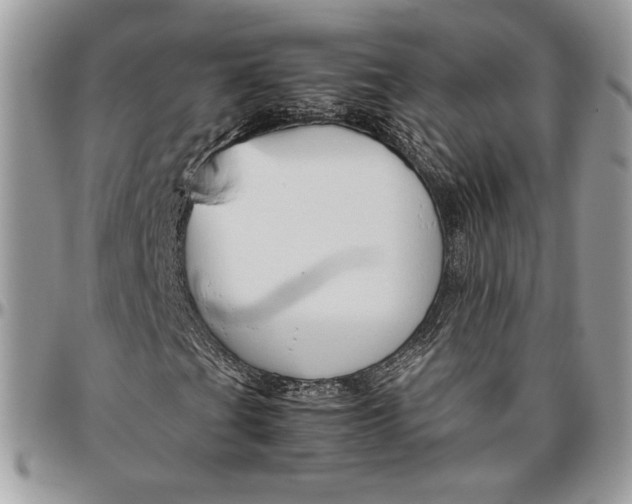 X0000094781201200712071157