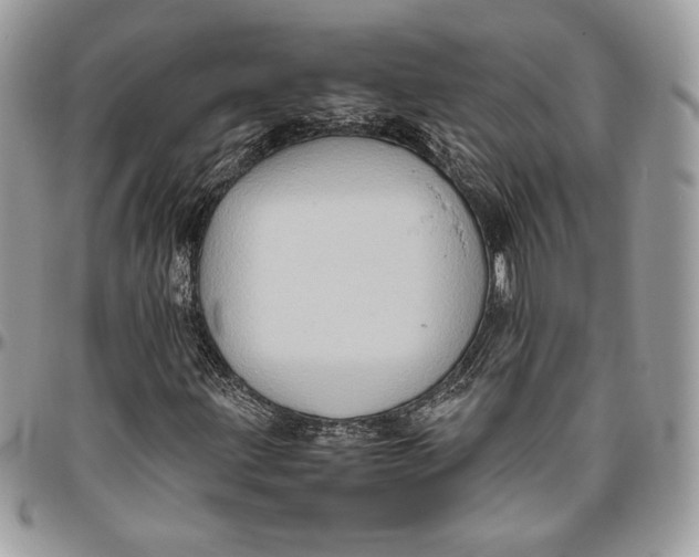 X0000094781203200712071157