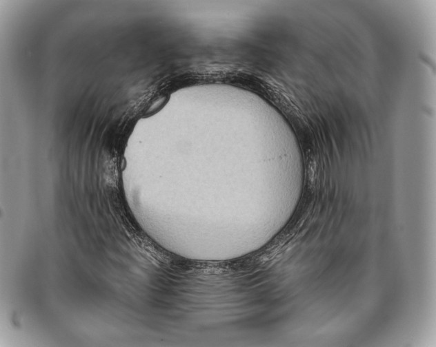 X0000094781204200712071157