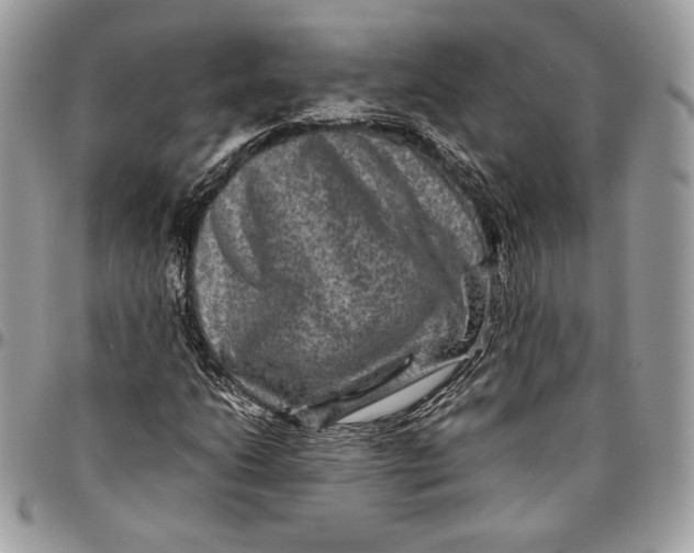 X0000094781206200712071157