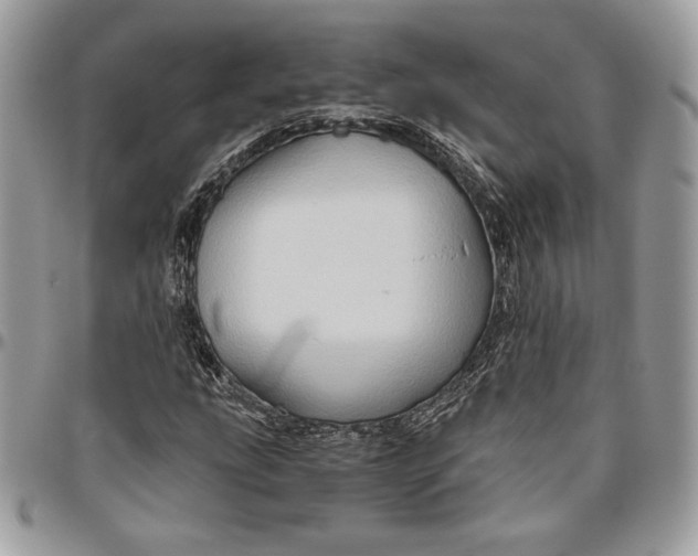 X0000094781207200712071157