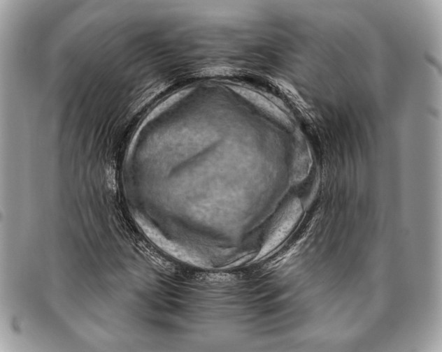 X0000094781209200712071157