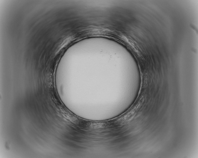 X0000094781211200712071157