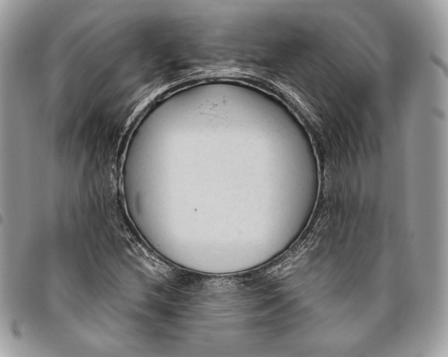 X0000094781212200712071157