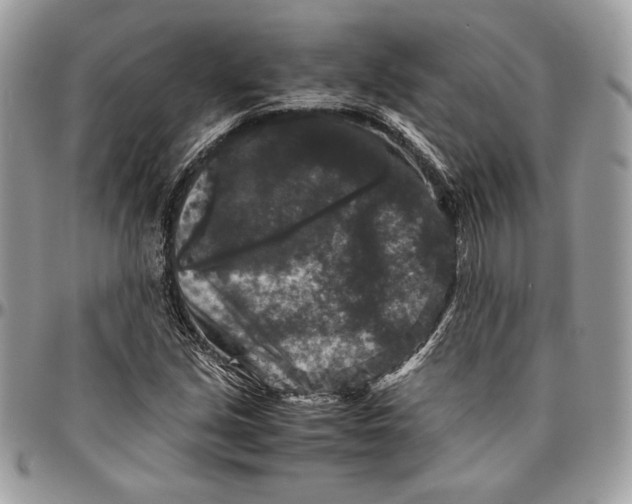 X0000094781213200712071157