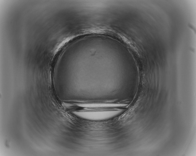 X0000094781214200712071157