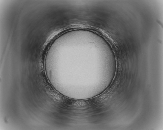 X0000094781215200712071157