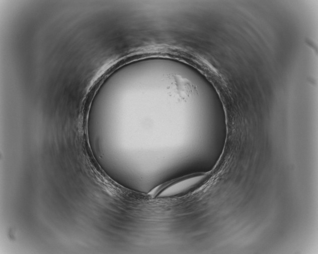 X0000094781216200712071157