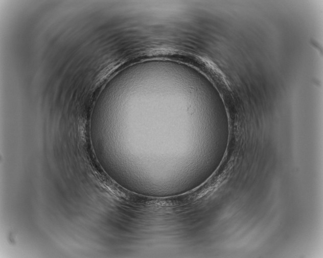 X0000094781217200712071157