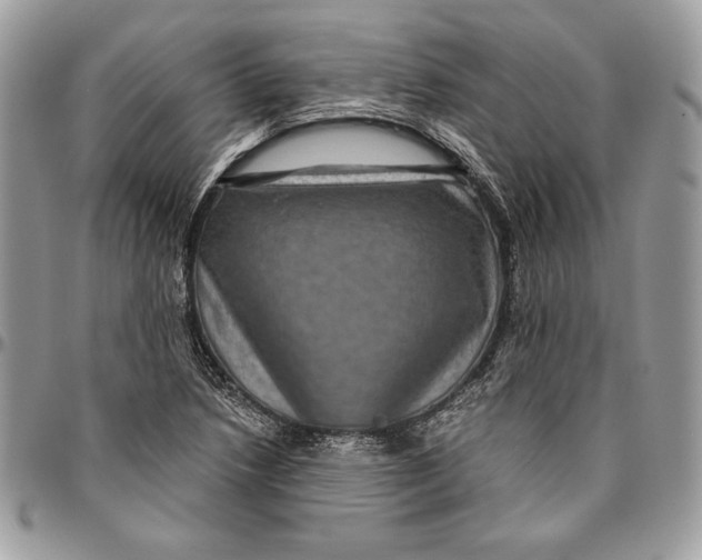 X0000094781218200712071157