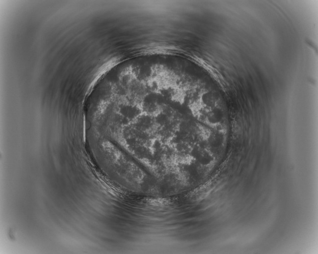 X0000094781219200712071157