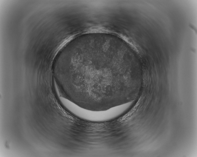 X0000094781221200712071157