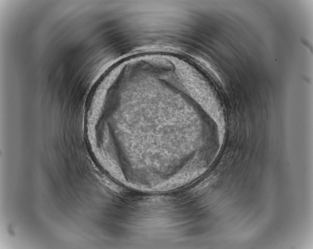 X0000094781228200712071157