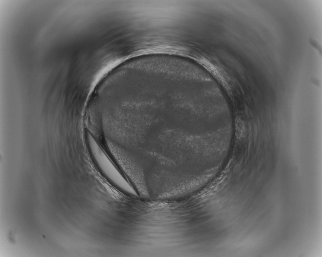 X0000094781230200712071157