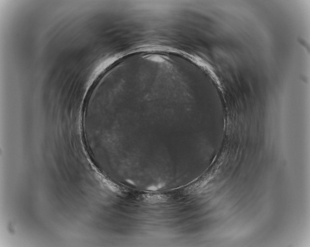 X0000094781231200712071157