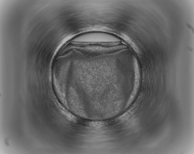 X0000094781232200712071157