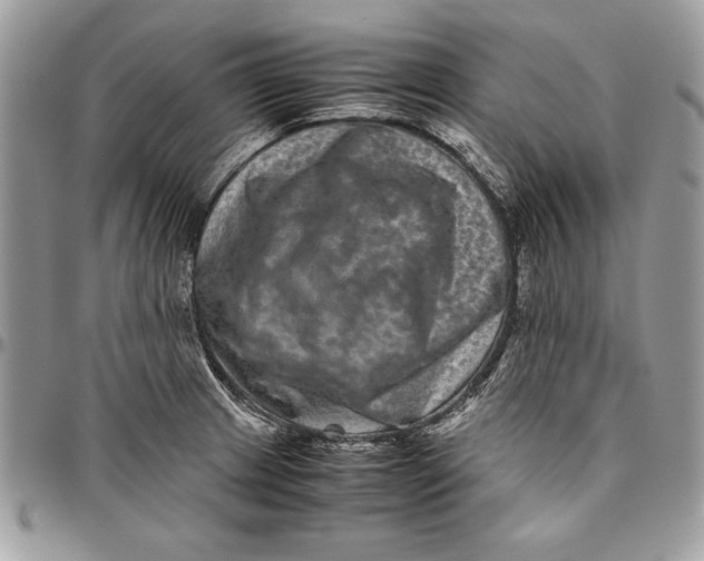 X0000094781233200712071157