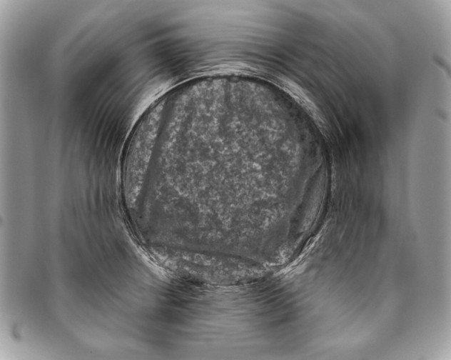 X0000094781234200712071157