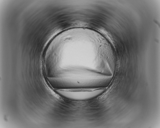 X0000094781235200712071157