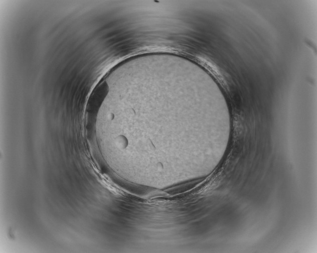 X0000094781236200712071157