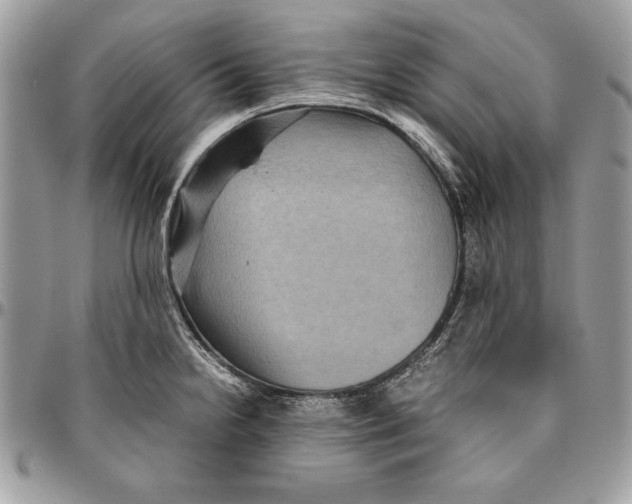 X0000094781238200712071157