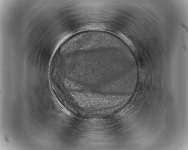 X0000094781240200712071157