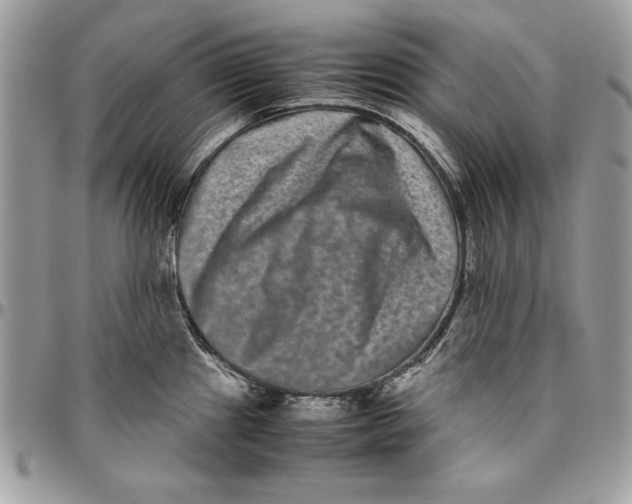 X0000094781241200712071157