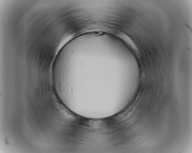 X0000094781242200712071157