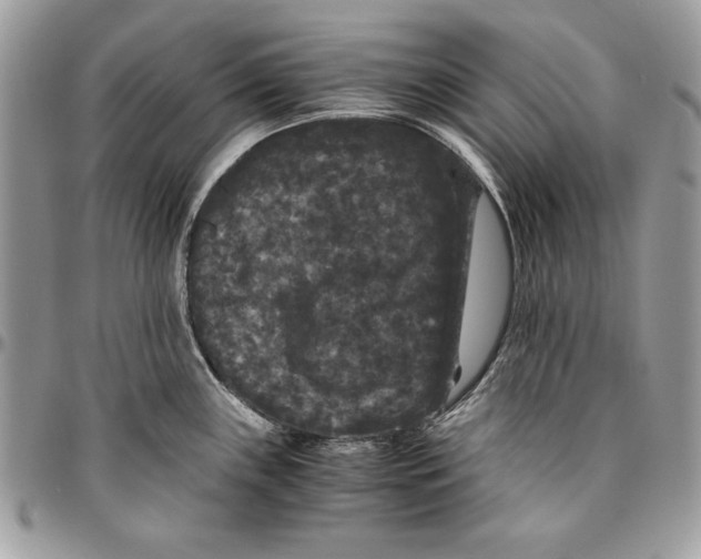 X0000094781243200712071157