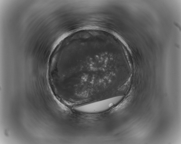 X0000094781245200712071157