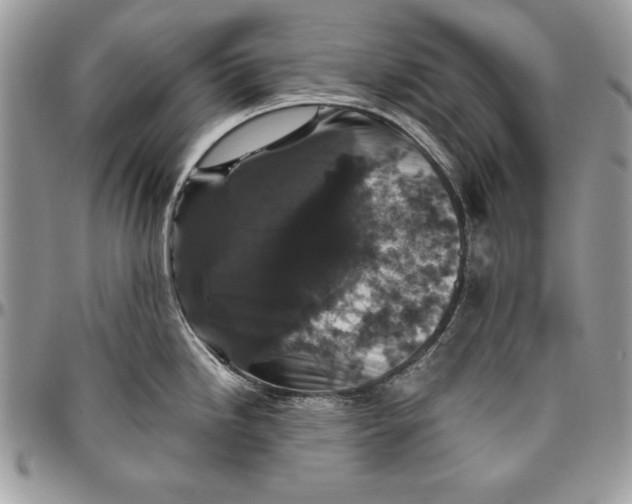 X0000094781246200712071157