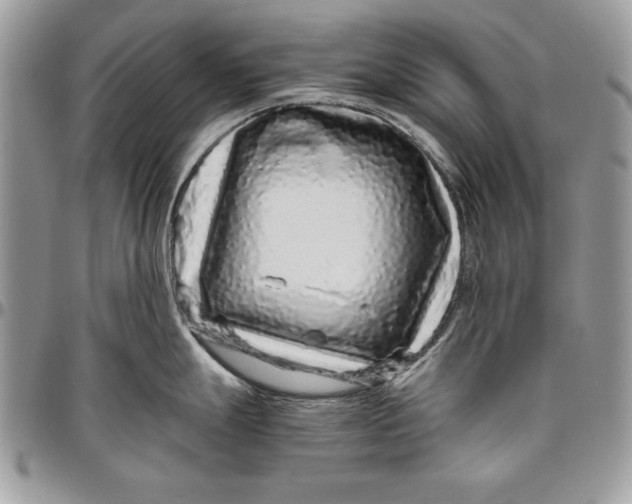 X0000094781247200712071157