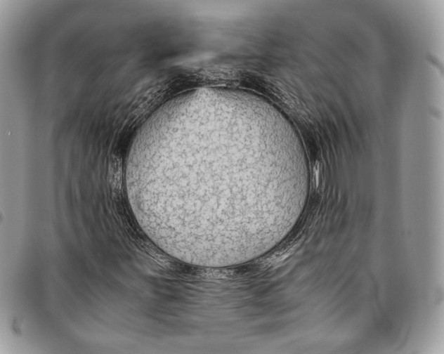 X0000094781251200712071157