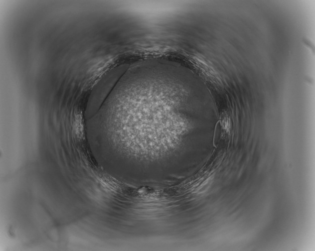 X0000094781252200712071157