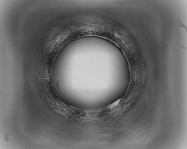 X0000094781253200712071157