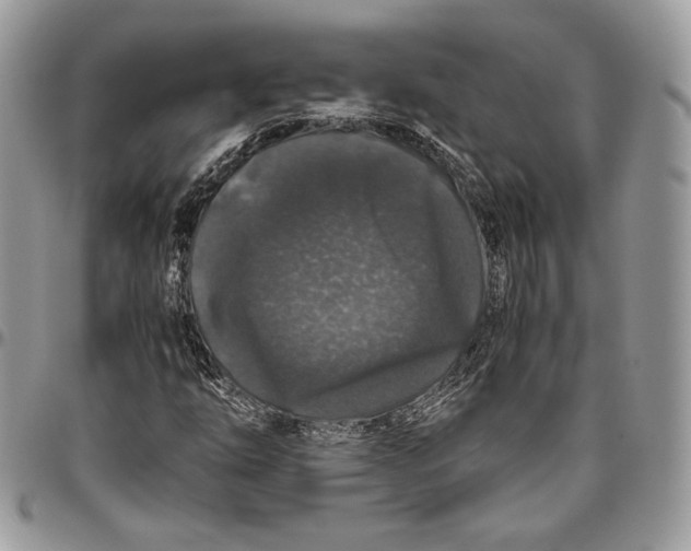 X0000094781254200712071157