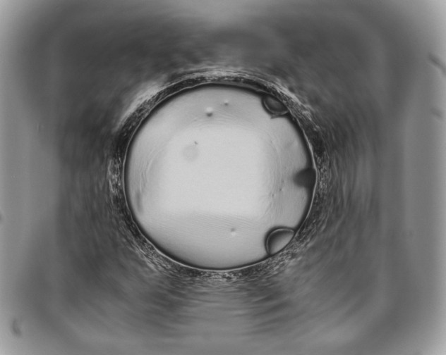 X0000094781255200712071157