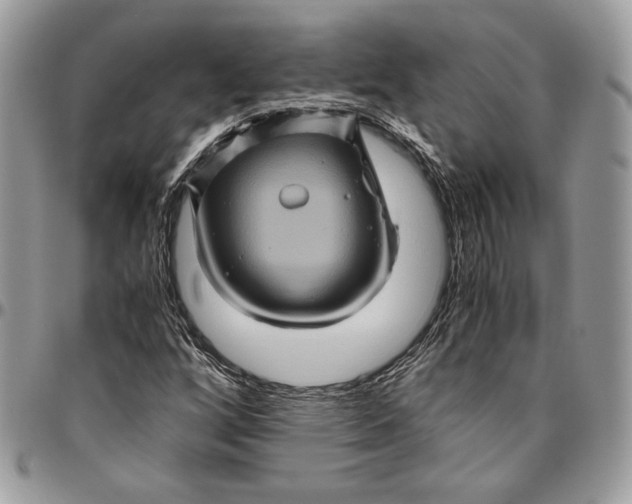 X0000094781256200712071157