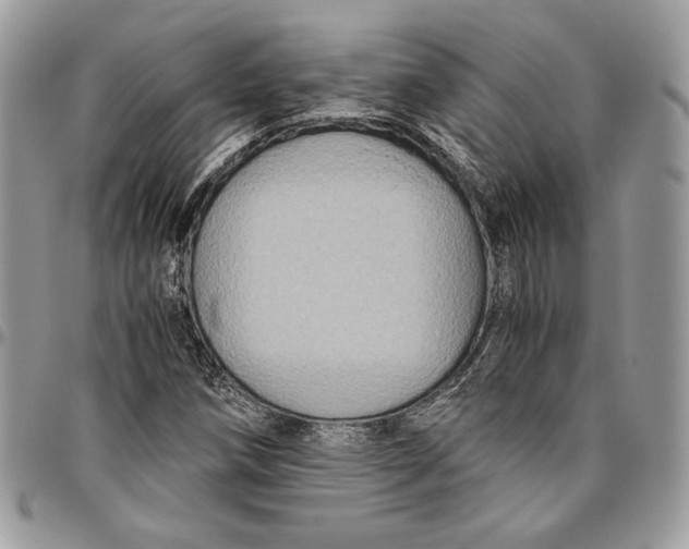 X0000094781258200712071157