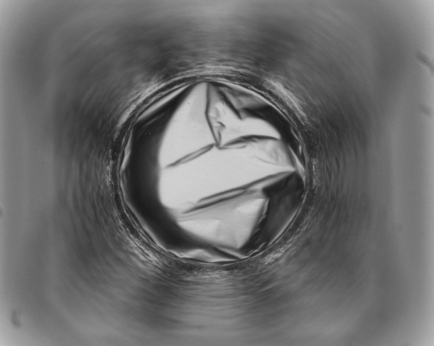 X0000094781260200712071156