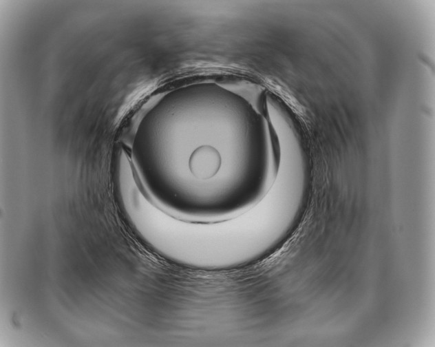 X0000094781261200712071156