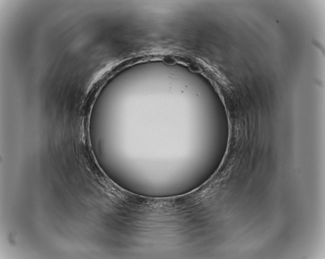 X0000094781262200712071156