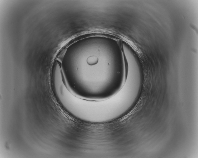 X0000094781264200712071156