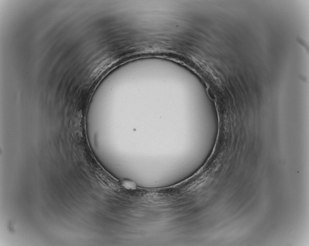 X0000094781265200712071156