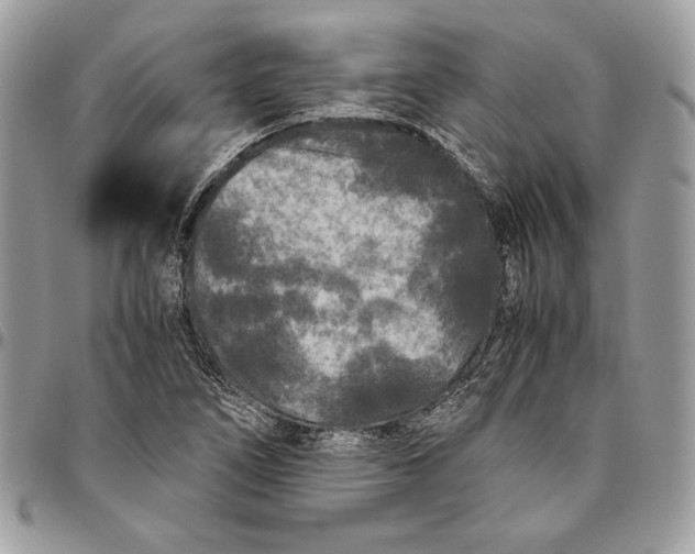 X0000094781266200712071156